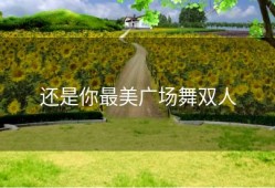还是你最美广场舞双人