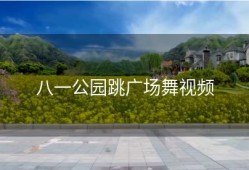 八一公园跳广场舞视频
