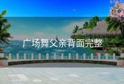 广场舞父亲背面完整