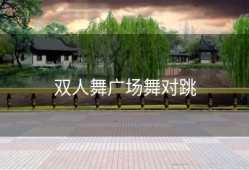 双人舞广场舞对跳
