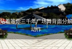 站着等你三千年广场舞背面分解动作