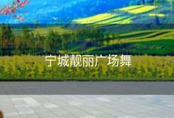 宁城靓丽广场舞