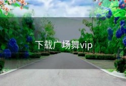下载广场舞vip