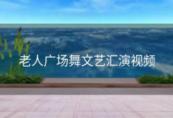 老人广场舞文艺汇演视频