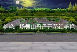 艳艳广场舞山丹丹开花红艳艳