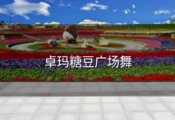 卓玛糖豆广场舞