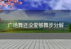 广场舞还没爱够舞步分解