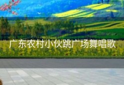 广东农村小伙跳广场舞唱歌