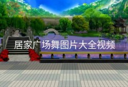 居家广场舞图片大全视频