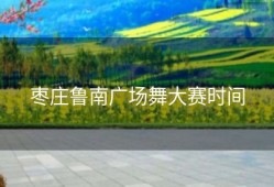 枣庄鲁南广场舞大赛时间