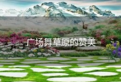 广场舞草原的赞美