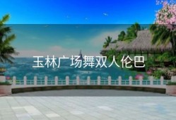 玉林广场舞双人伦巴
