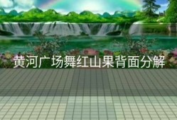 黄河广场舞红山果背面分解