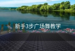 新手3步广场舞教学