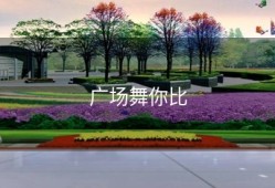 广场舞你比