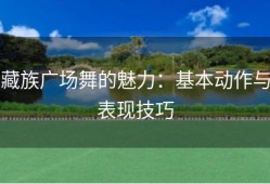 藏族广场舞的魅力：基本动作与表现技巧