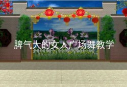脾气大的女人广场舞教学